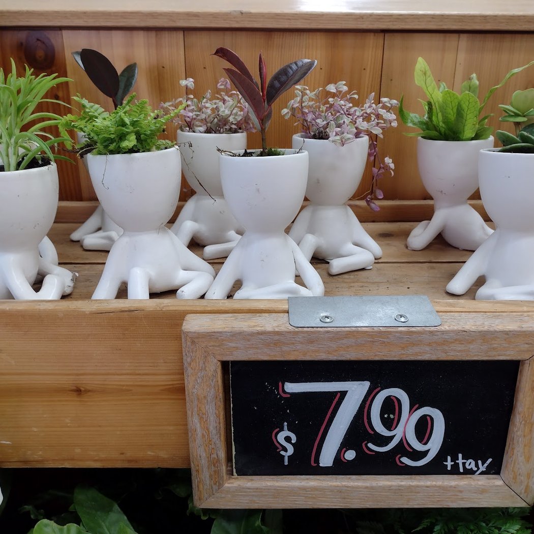 Trader Joe's 1