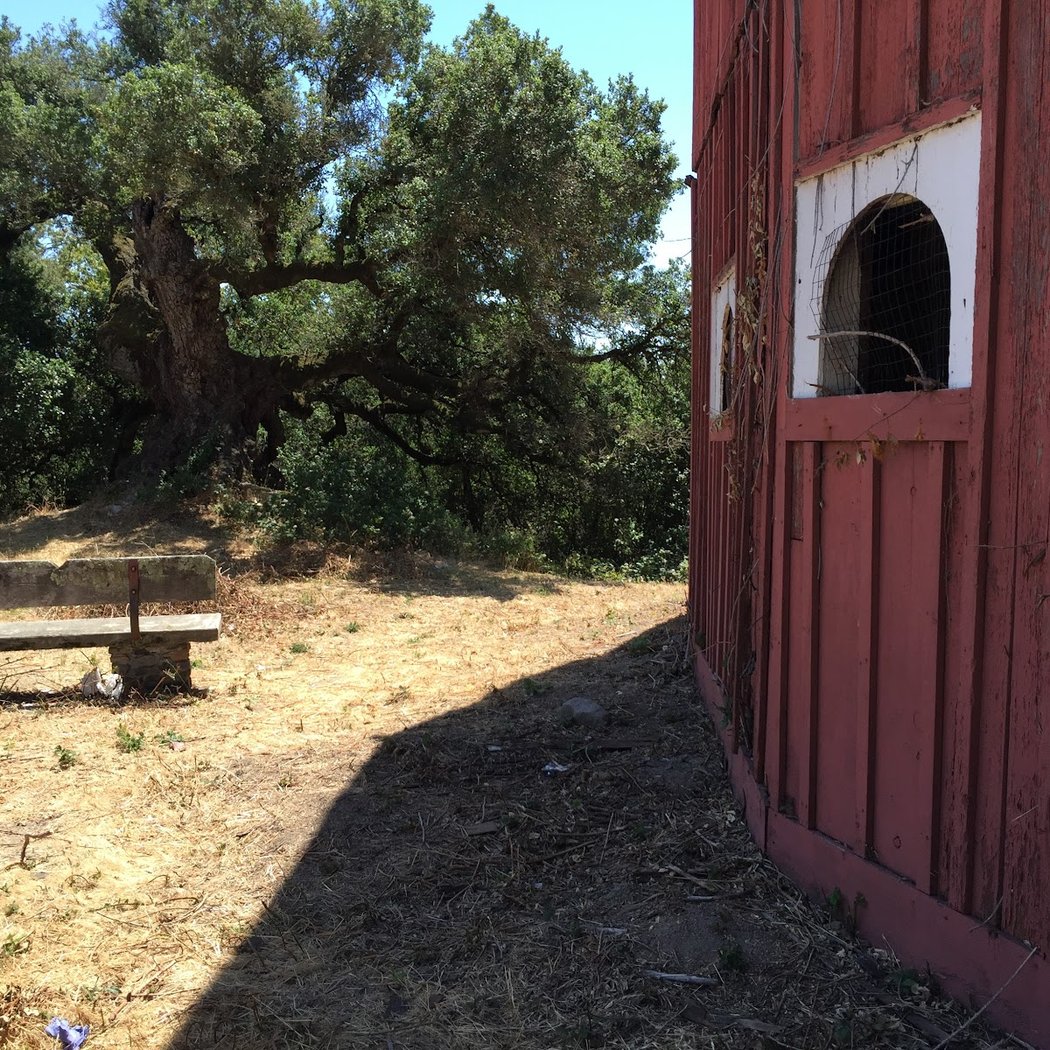 Fountaingrove 3