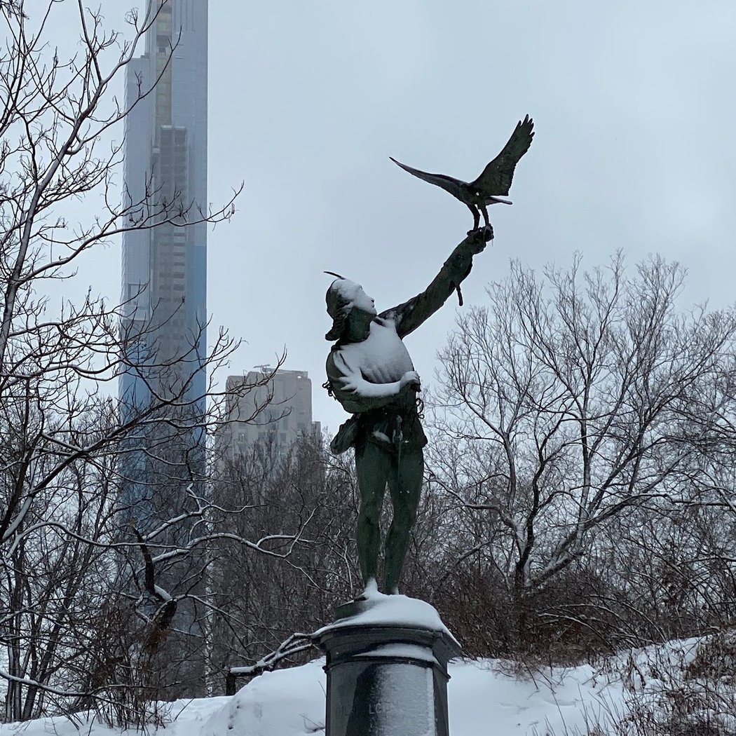 The Falconer 3