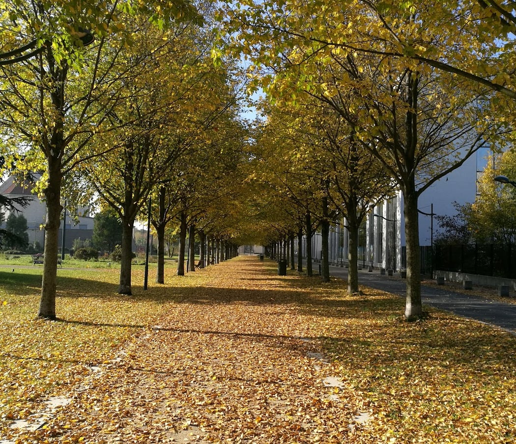 La coulée verte 1