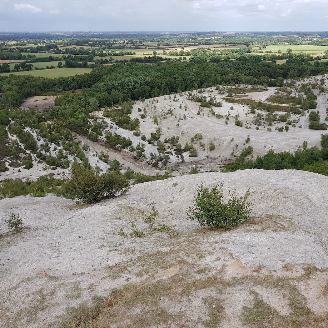 Promenons-nous dans la forêt d’Abbaretz 2