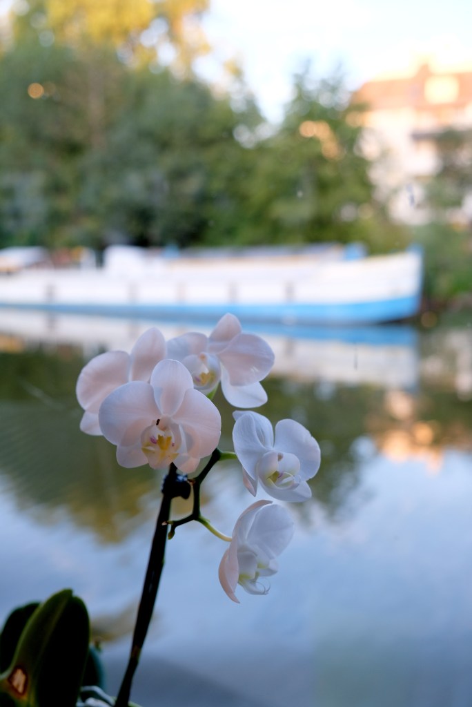 Nantes Boats 5