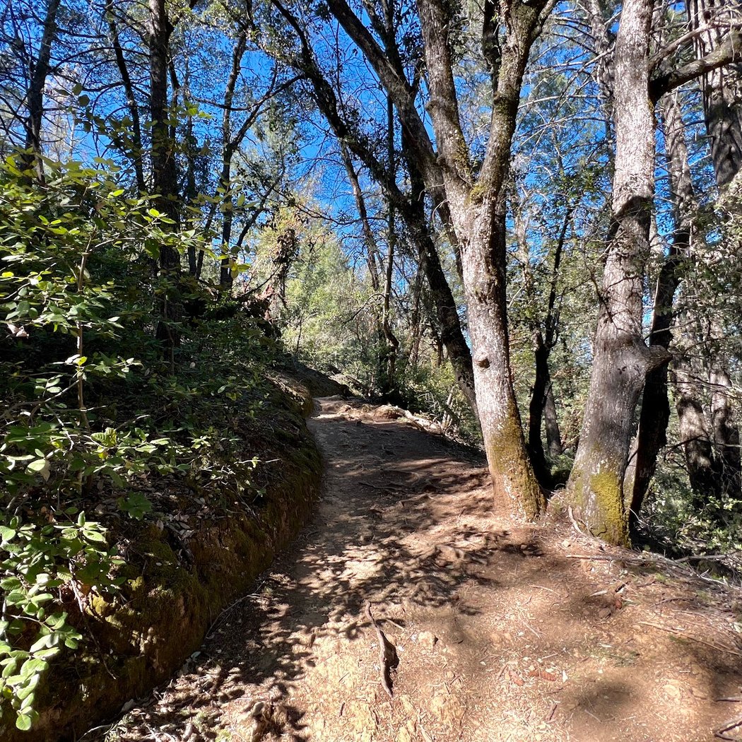 Mt. St. Helena Trailhead 2