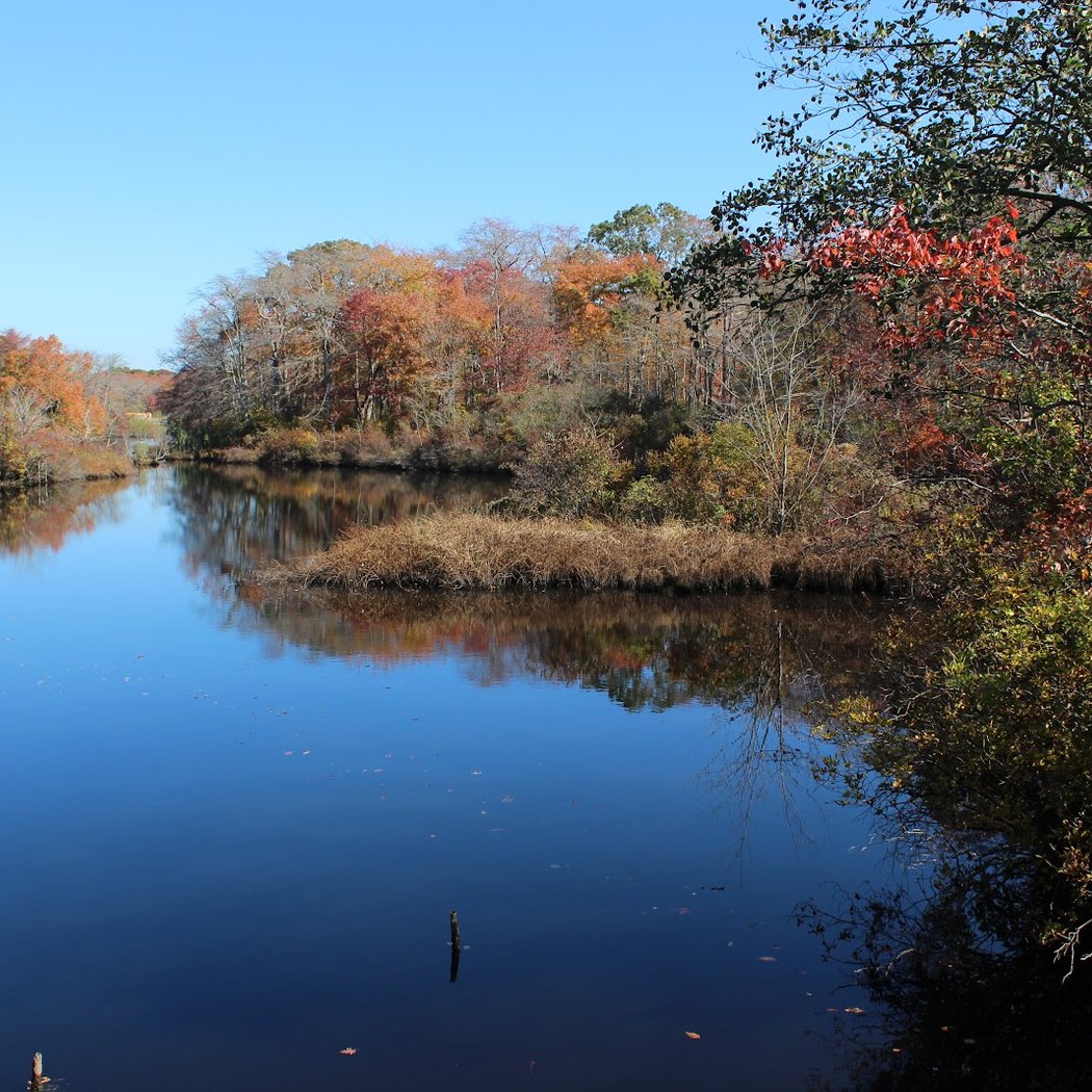 Connetquot River State Park Preserve 1