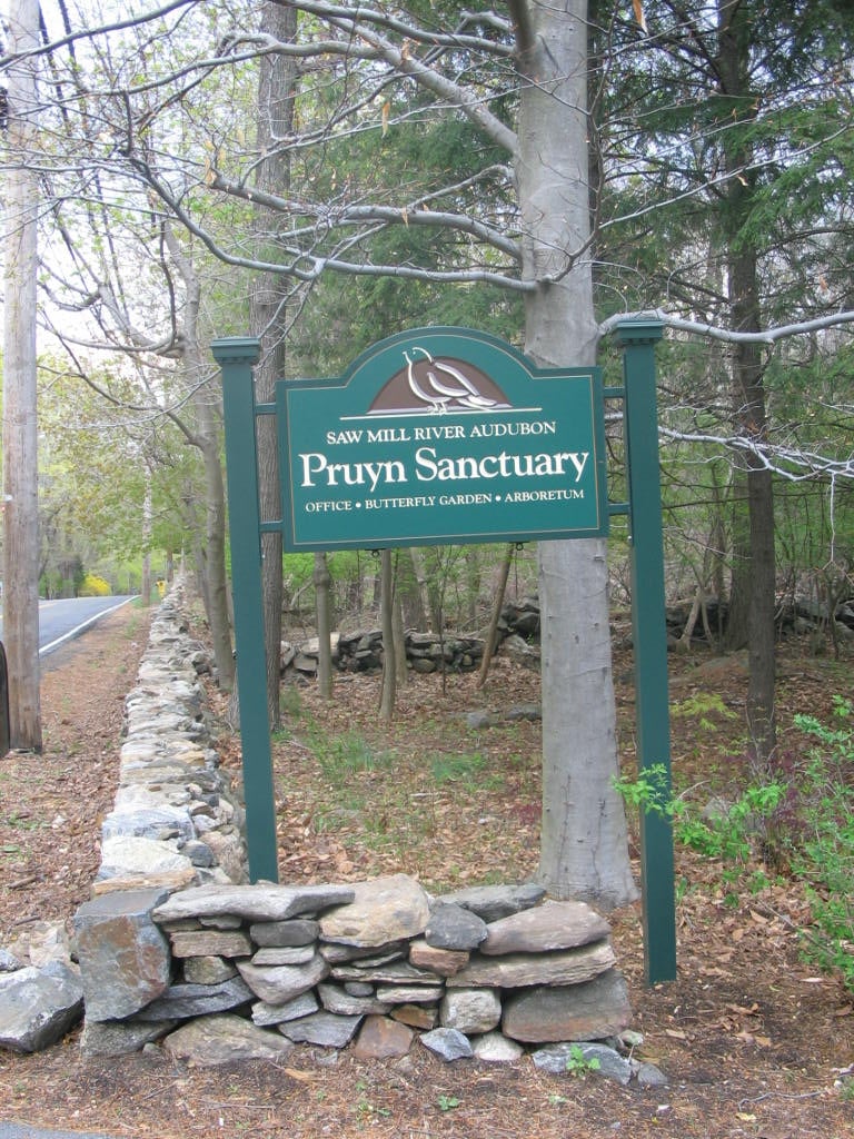 Pruyn Audubon Sanctuary 2