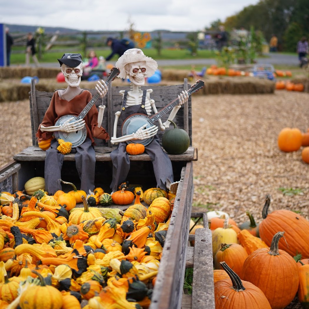 Pierson's Farm, a family place for making memories! 1