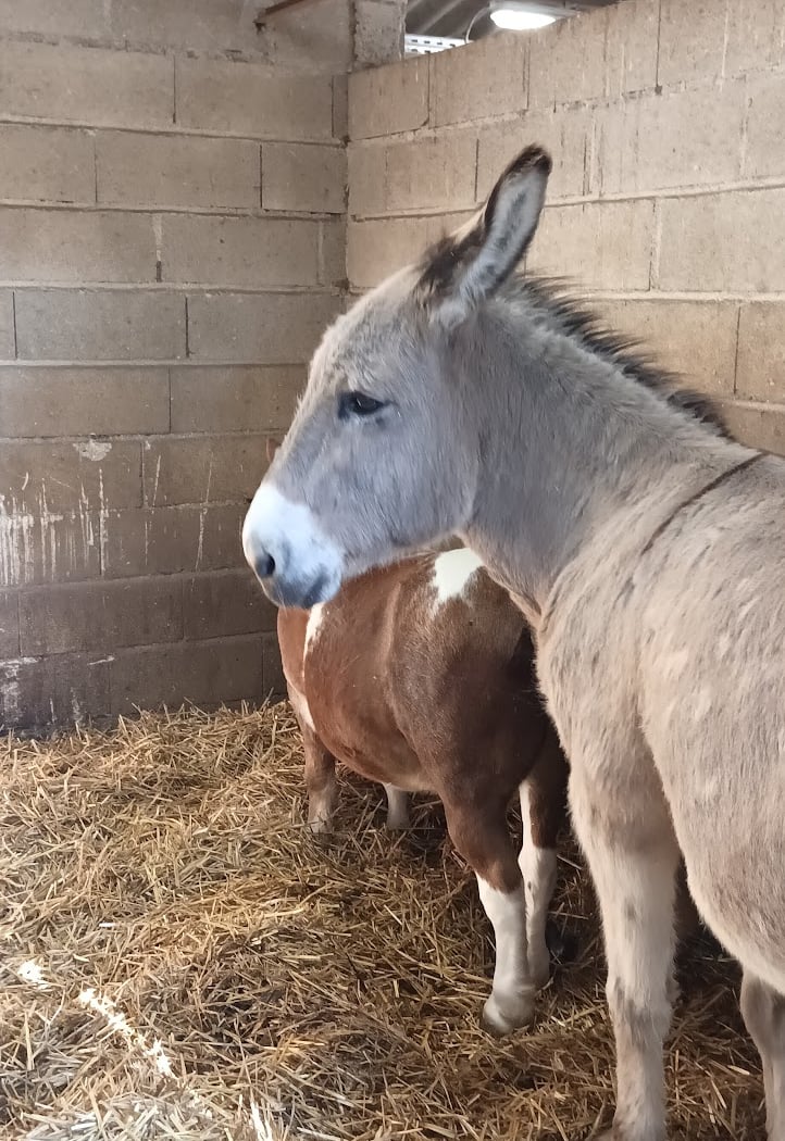 Ferme pédagogique de la béchère 2