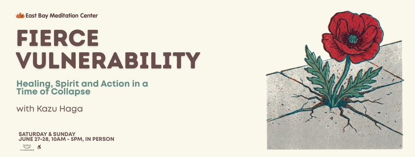 Fierce Vulnerability: Healing, Spirit & Action in Times of Collapse