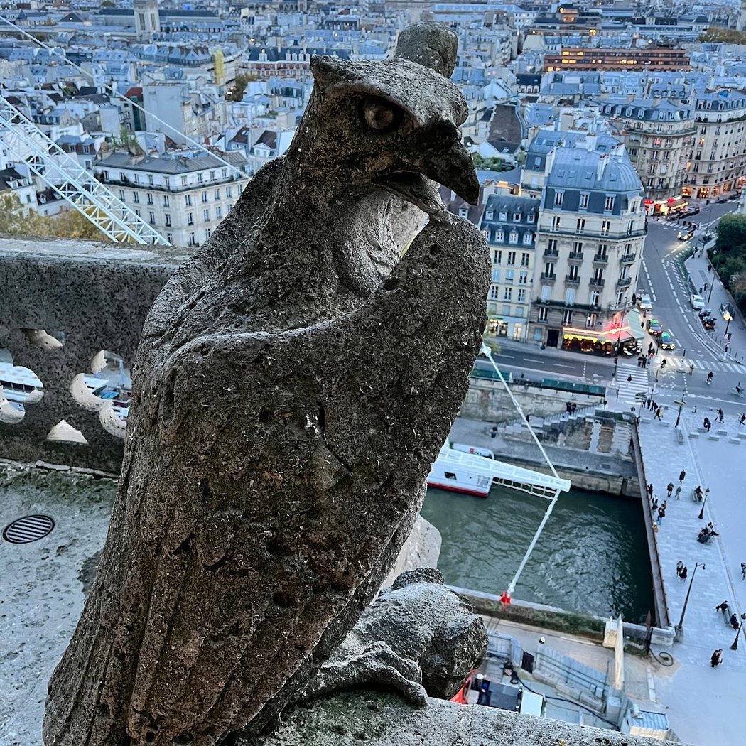Sortie culturelle : Notre Dame 1