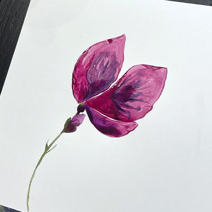 Initiation à l'Aquarelle : Les Bases 1