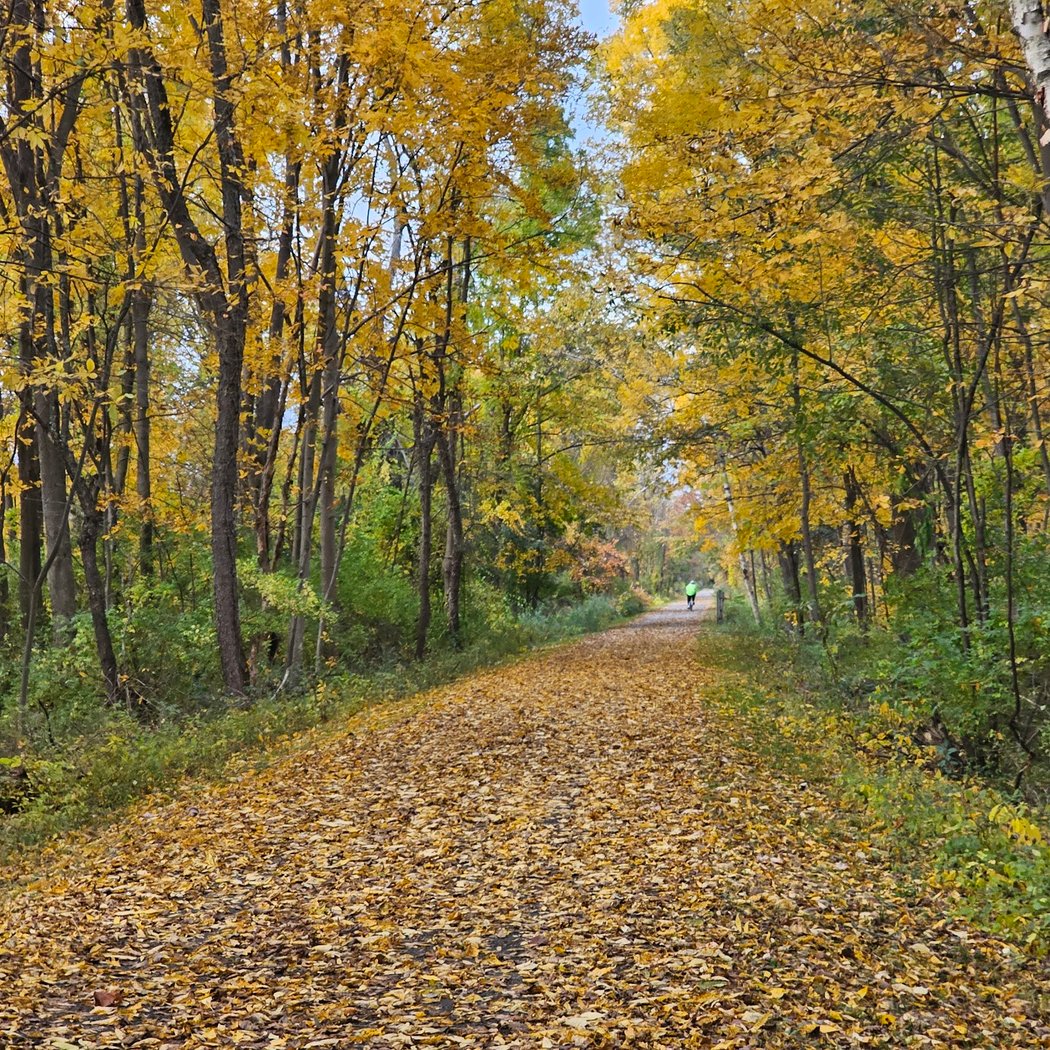 Harlem Valley Rail Trail 1