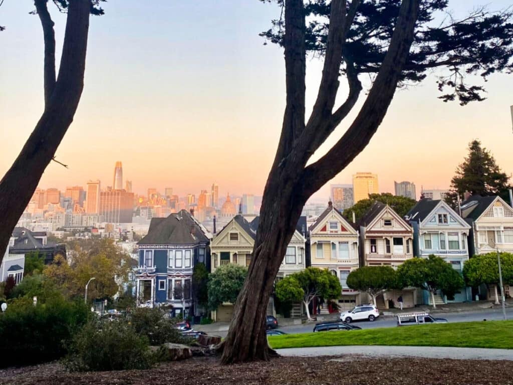 The Painted Ladies 4