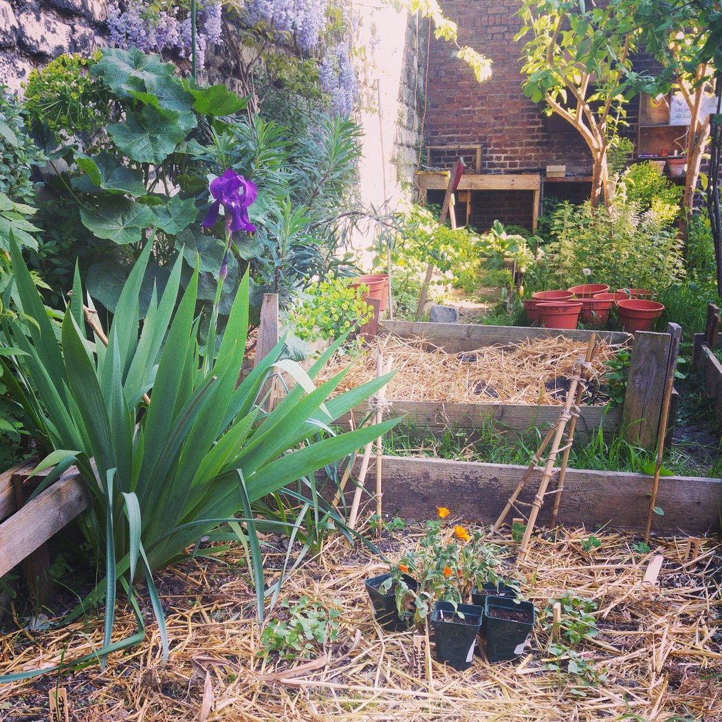 Les Jardins de Guinot 2