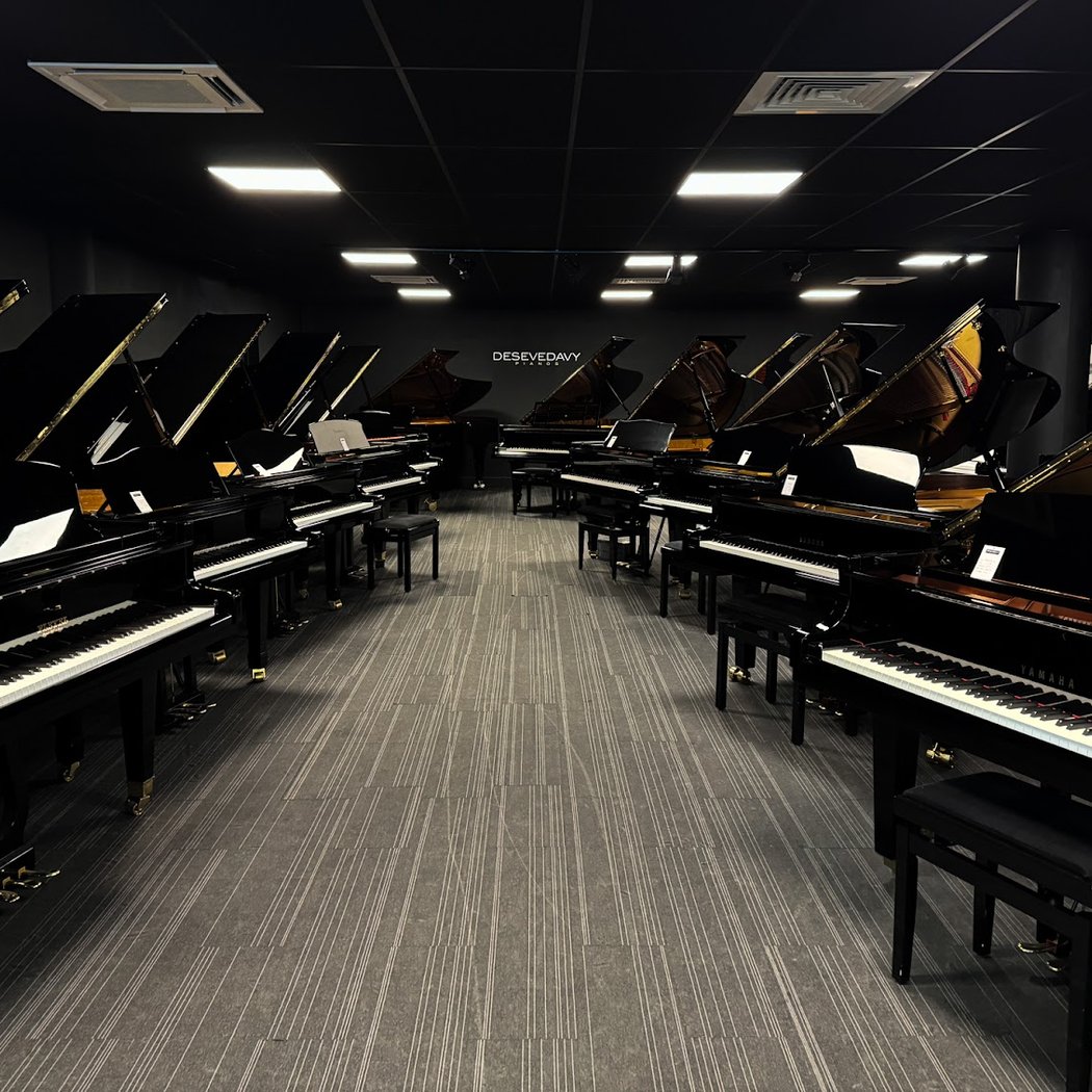 Desevedavy Pianos | Spécialiste du piano acoustique et numérique 3
