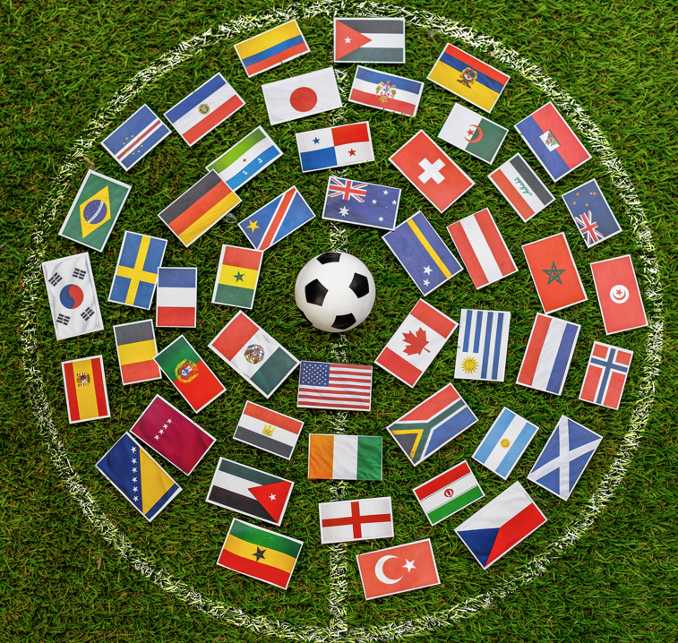 PANINI Sticker Swap 1