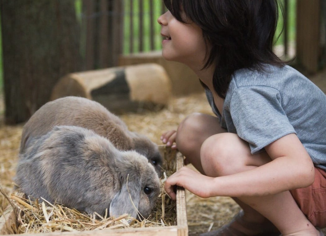 LES ANIMAUX DE LA FERME 3