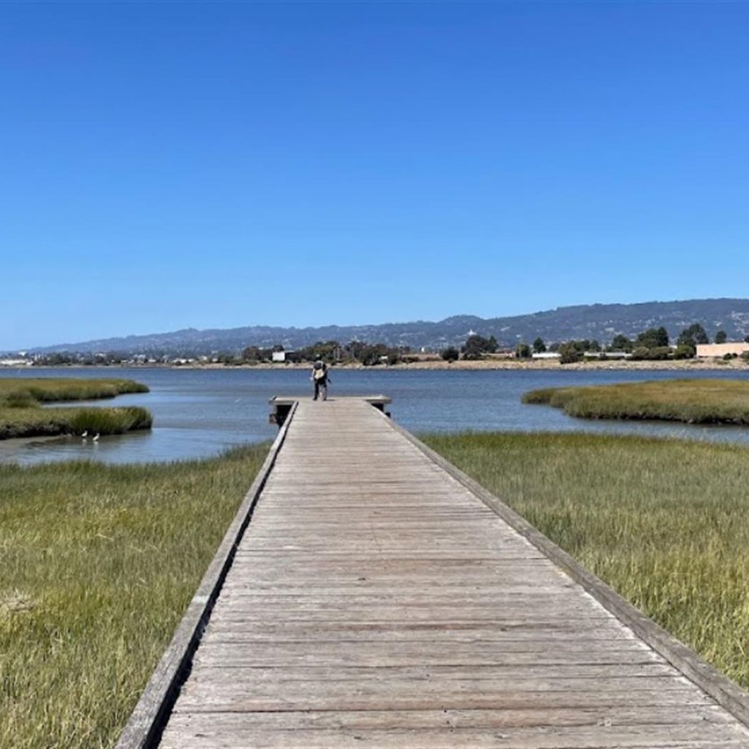 Martin Luther King Jr. Regional Shoreline 2
