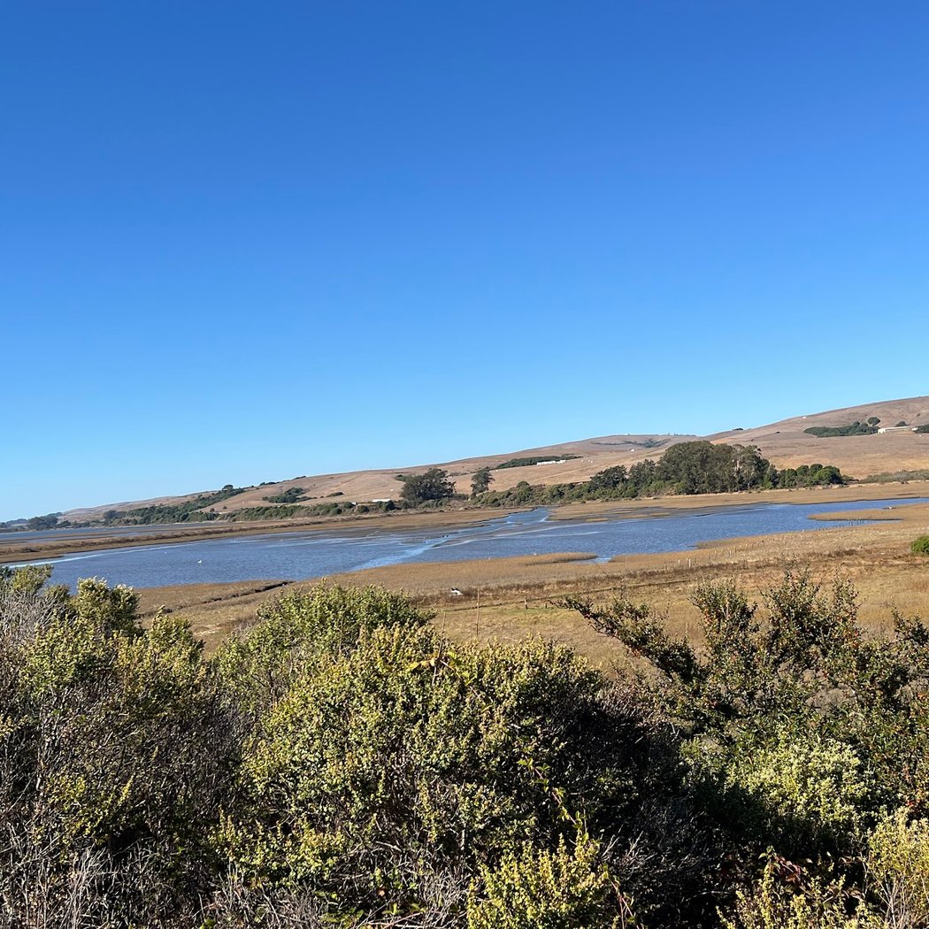 Tomales Bay Trailhead 3
