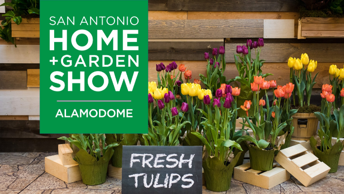 San Antonio Home + Garden Show