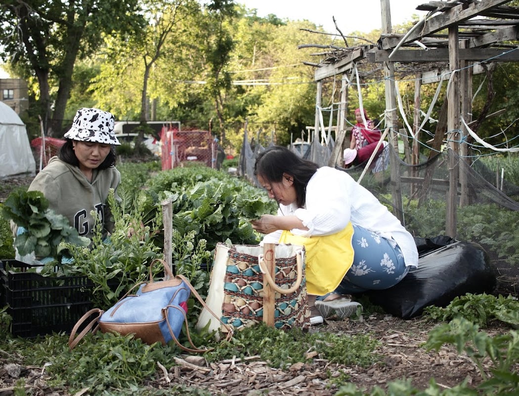 World Refugee Day 3
