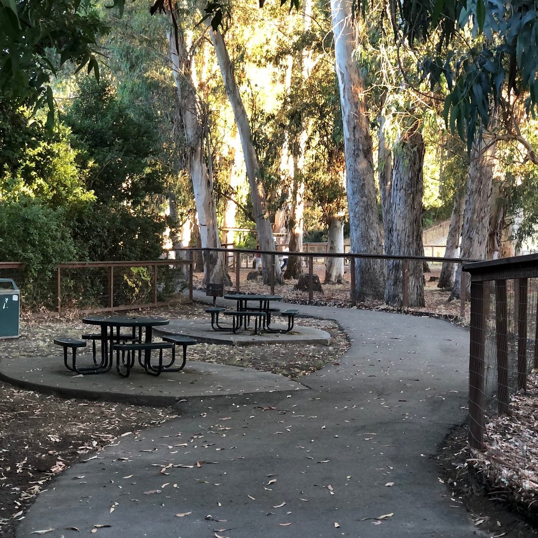 Dog park 2