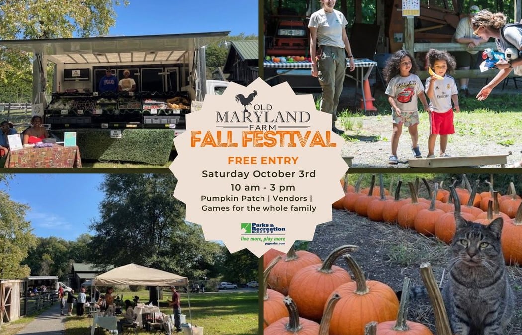 Fall Farm Festival 1