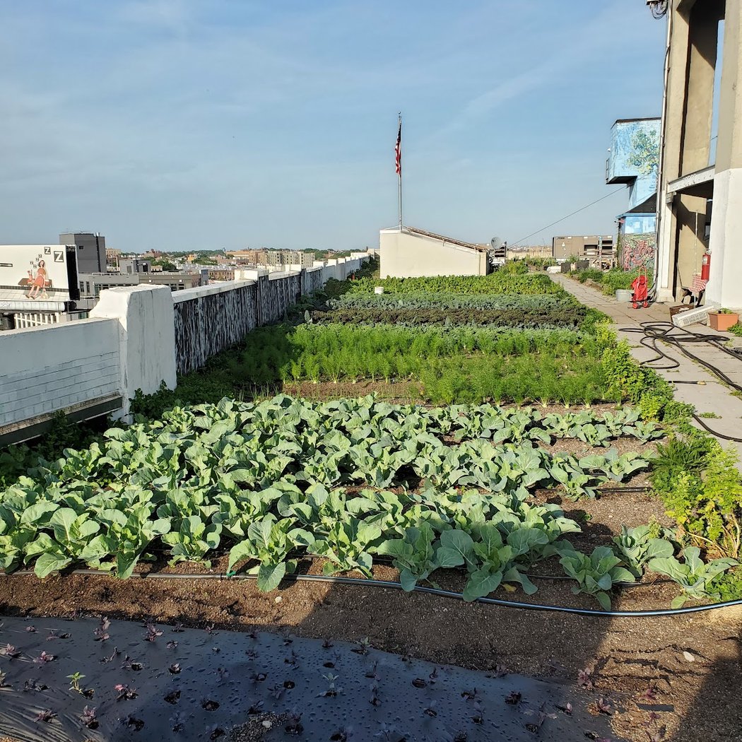 Sky Farm LIC by Variety Boys and Girls Club of Queens 2
