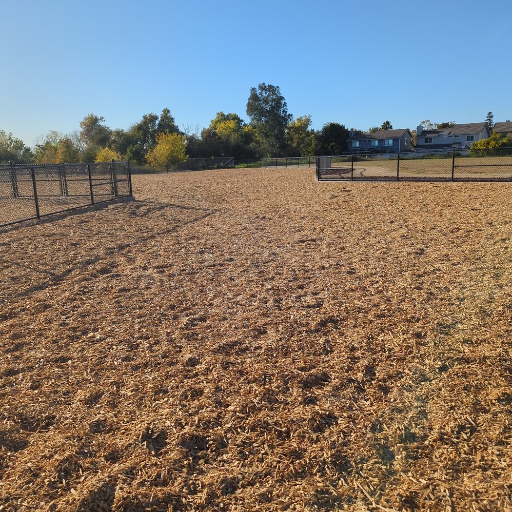 Bruzzone Dog Park 2