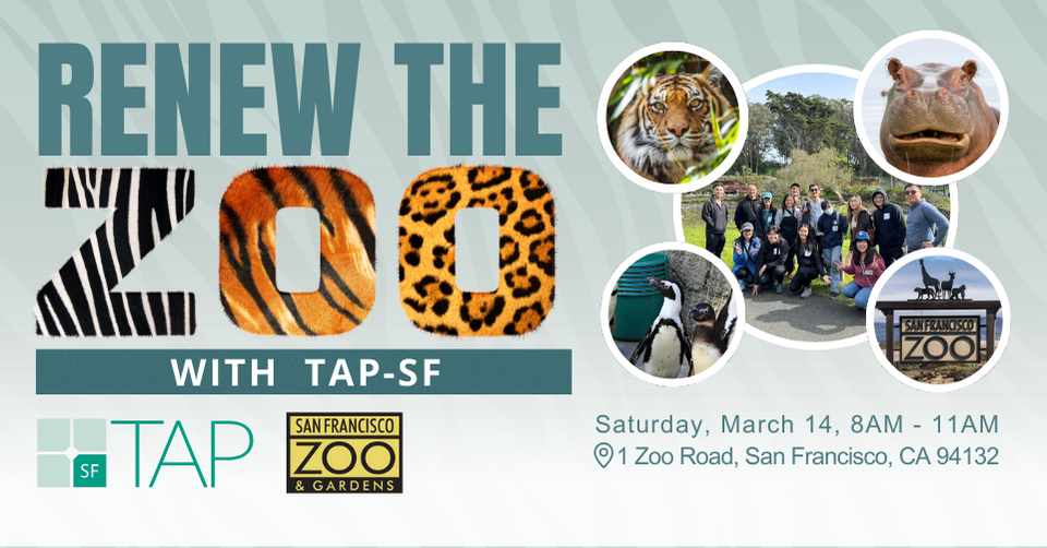 Renew the SF Zoo with TAP-SF 1