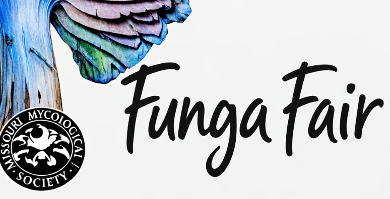 Funga Fair 1