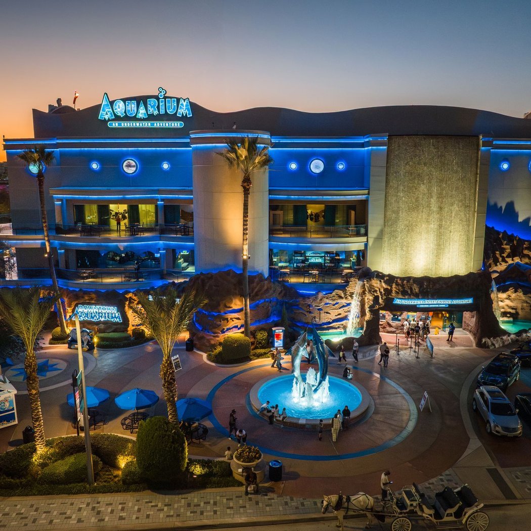 Downtown Aquarium