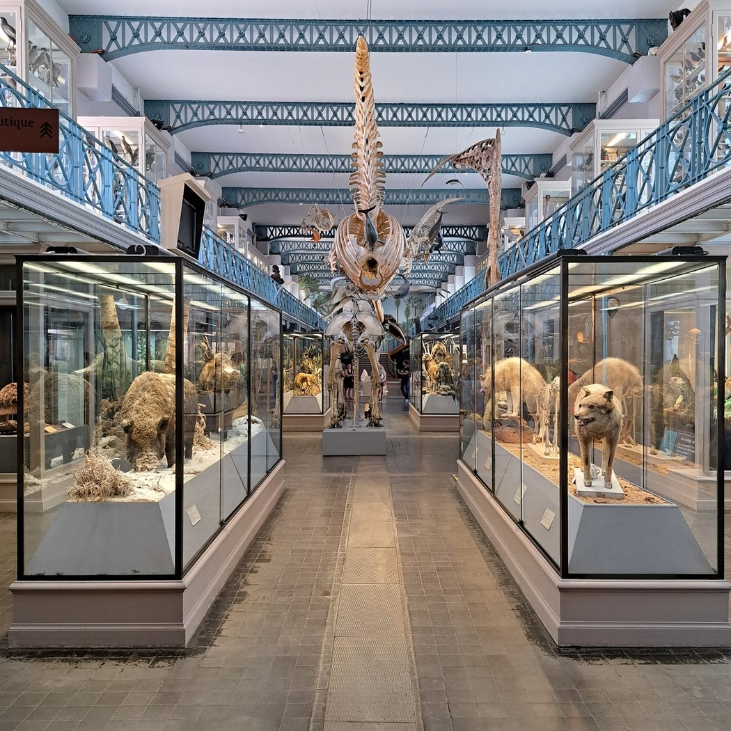 Natural History Museum 1