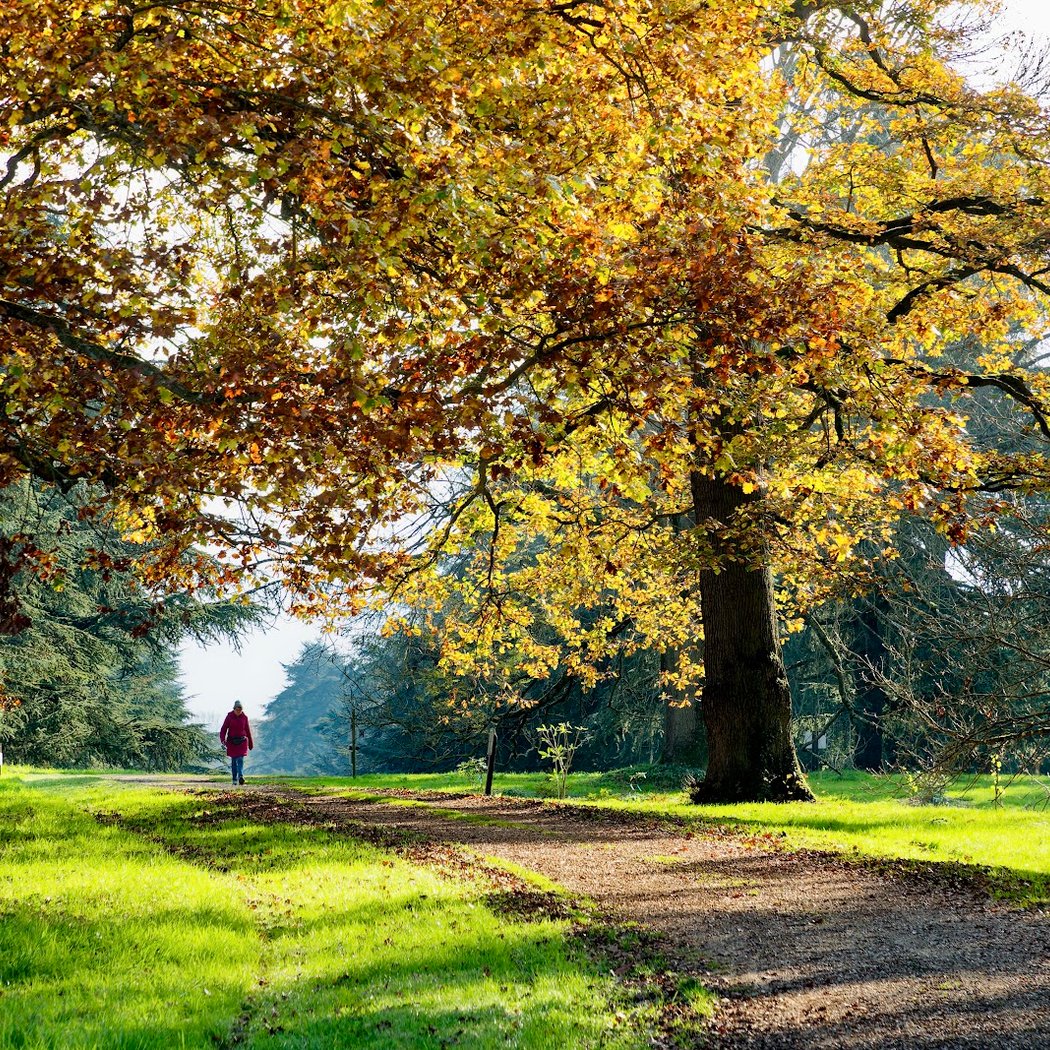 Animations et jeux de pistes à l'Arboretum de Versailles-Chèvreloup 1
