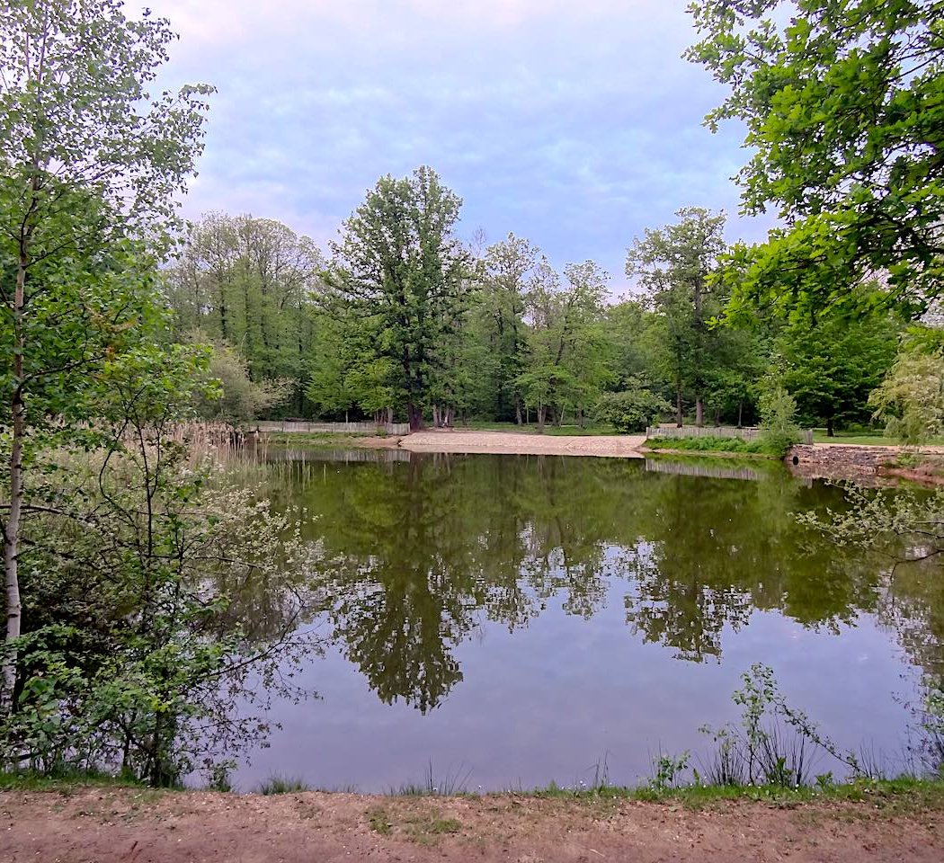 Forêt Domaniale de Montmorency 2
