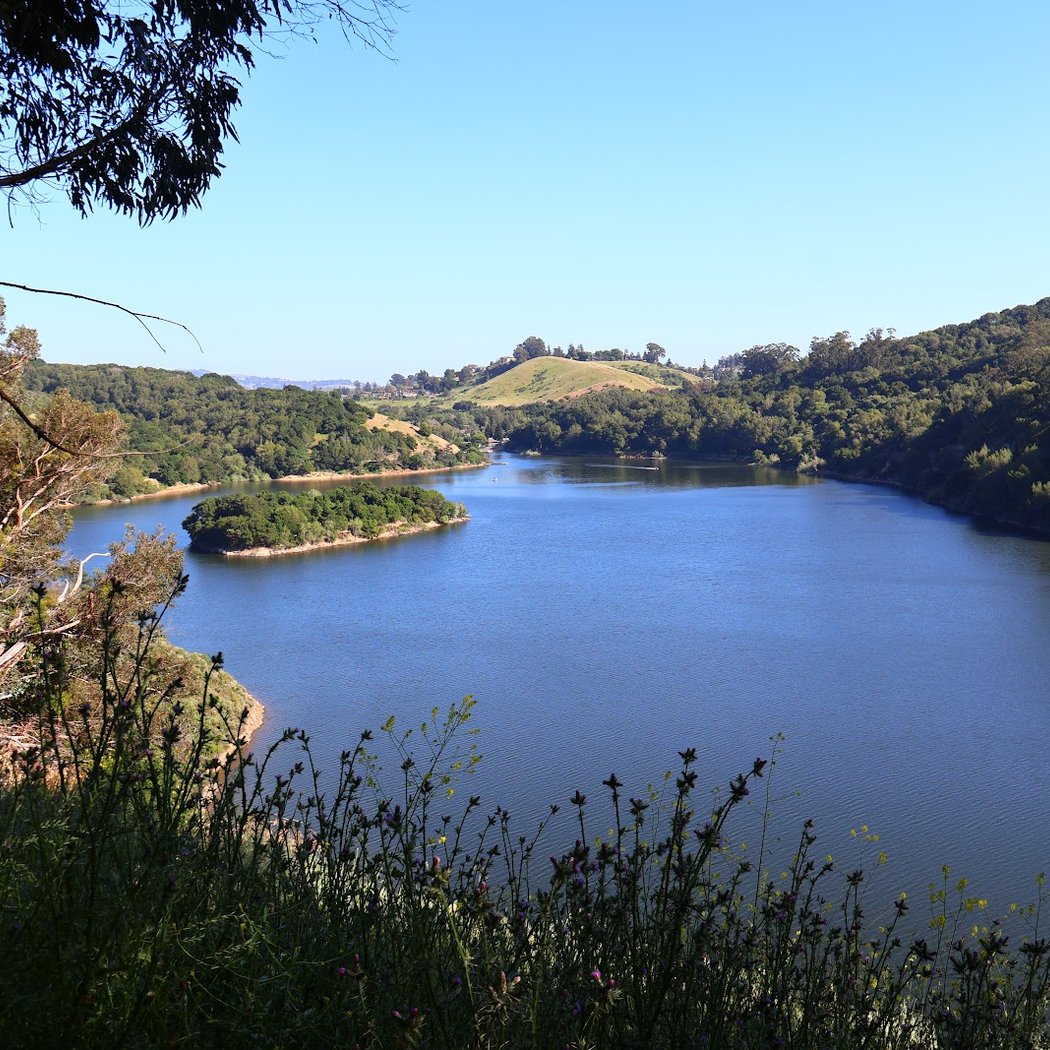 Lake Chabot Regional Park 1