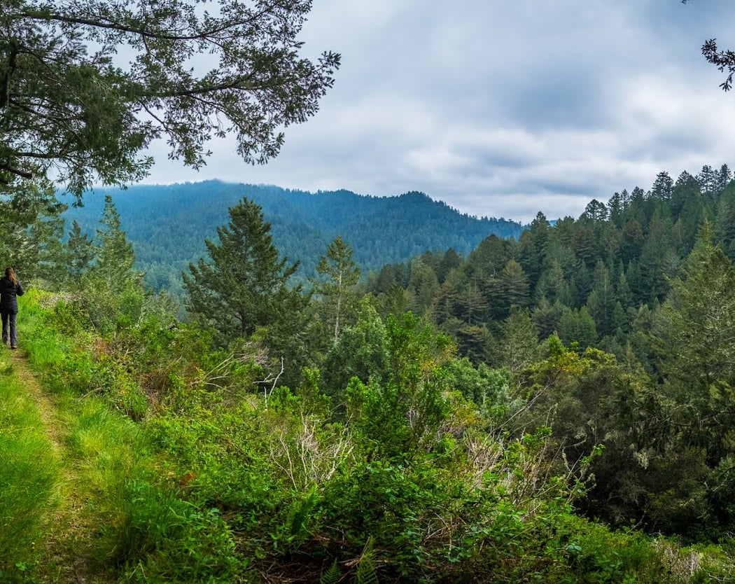 Memorial County Park 1