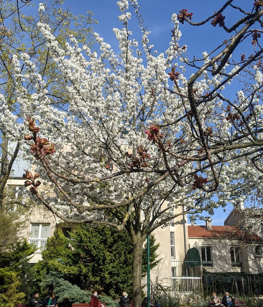 square Antoine-Blondin 2