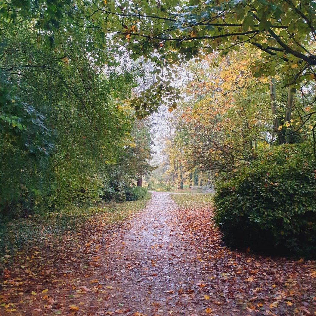 PARC ANTONY 1