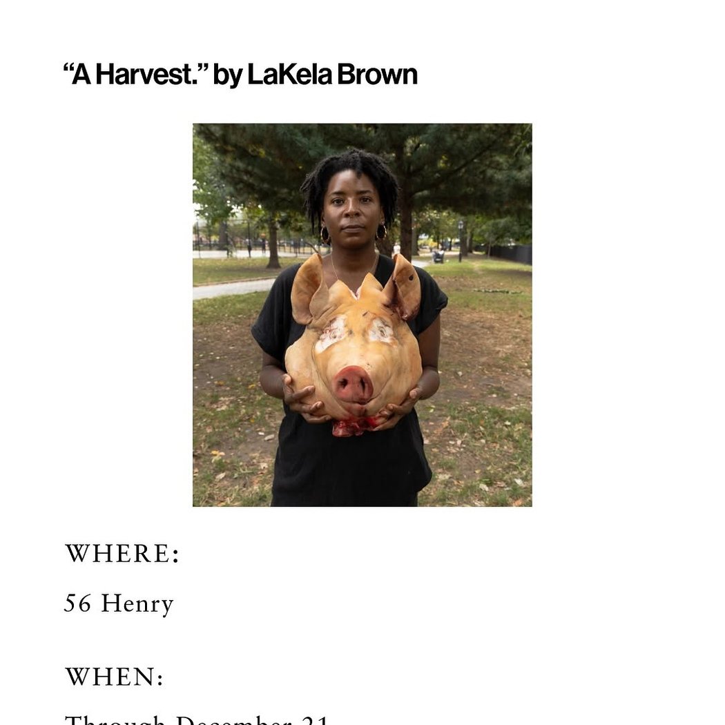 A Harvest. by LaKela Brown 1