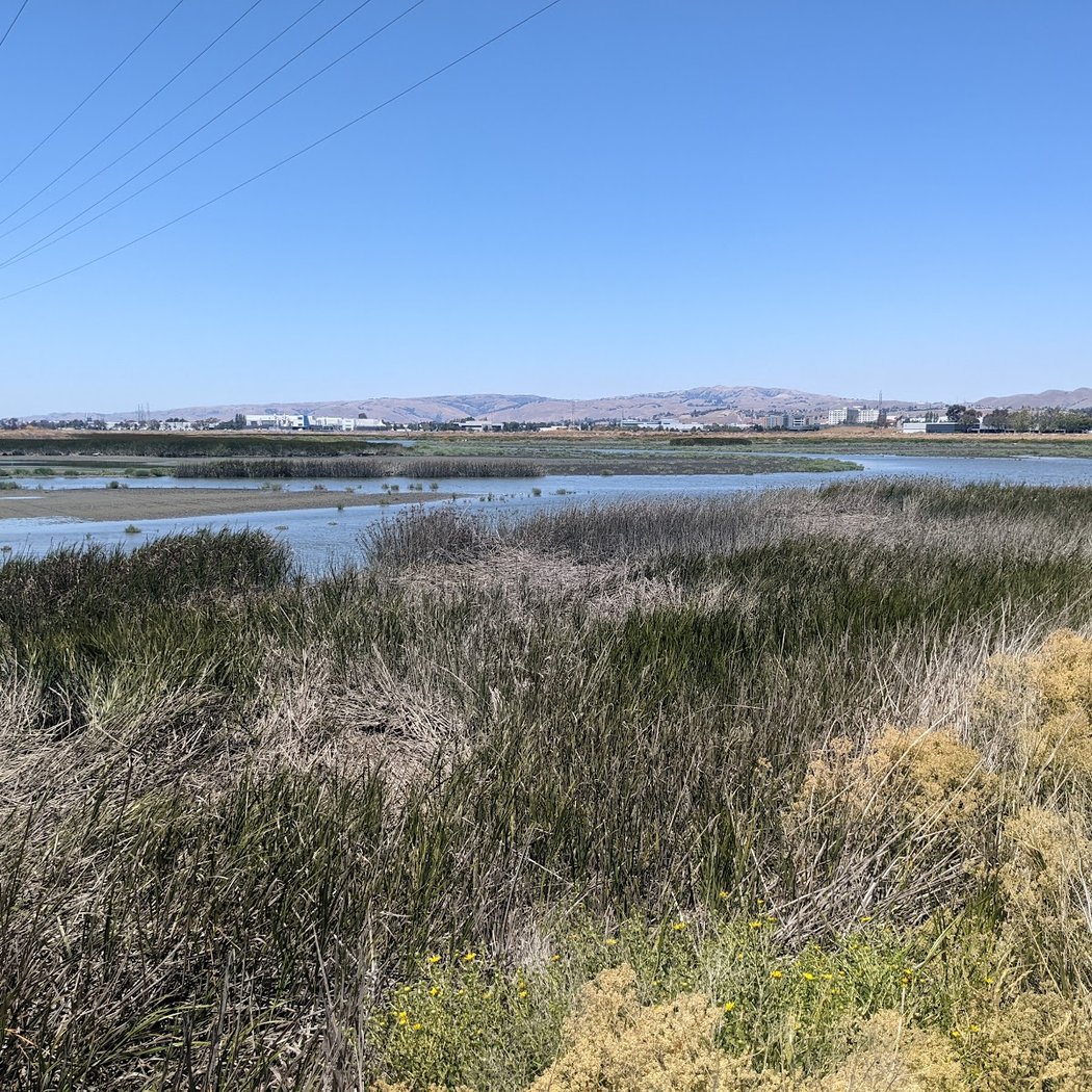 Coyote Creek Lagoon Trl 2