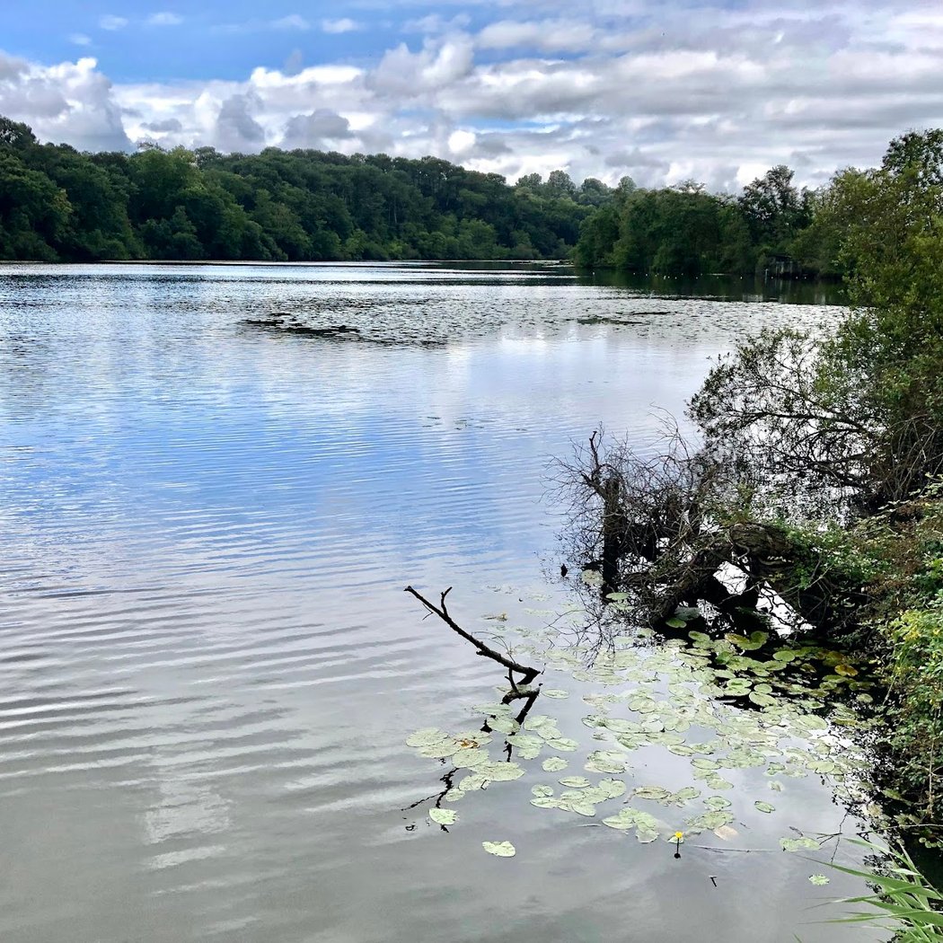 Etang du Turc 2