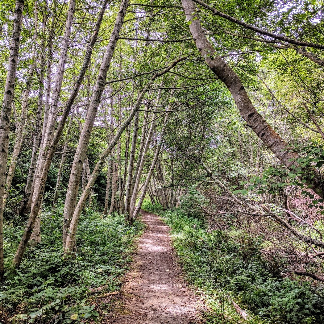 Muddy Hollow Trail 5