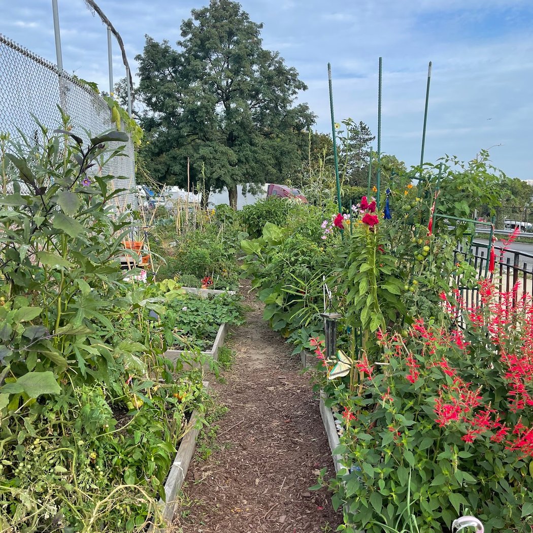 Forest Hills Community Garden 2