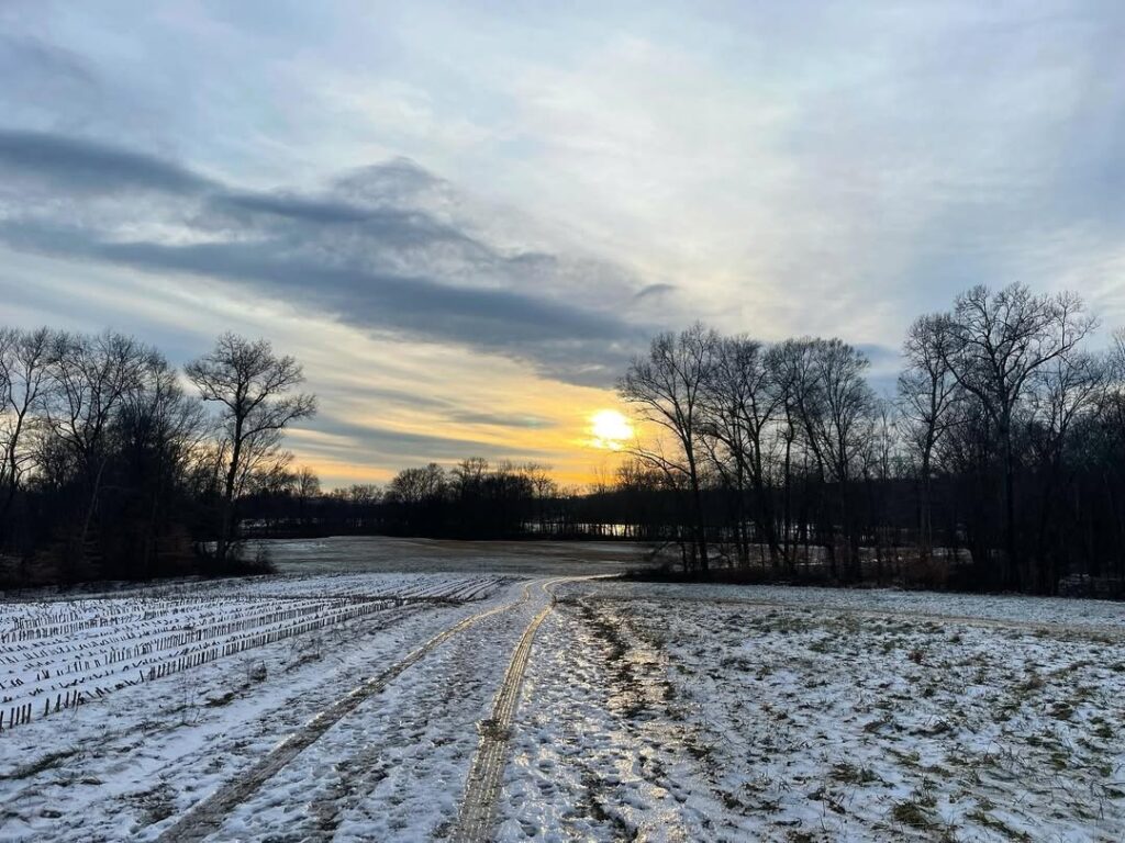 Whistlewood Farm Bed and Breakfast 2