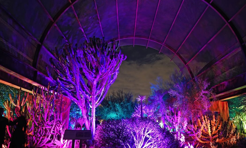 90s / 2000s Throwback Music Night: Desert Oasis Garden After Dark 1