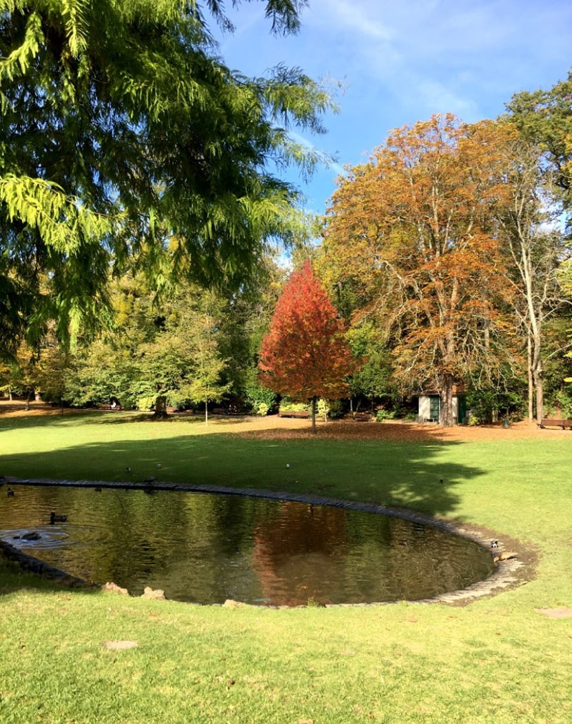 Parc de Procé 1