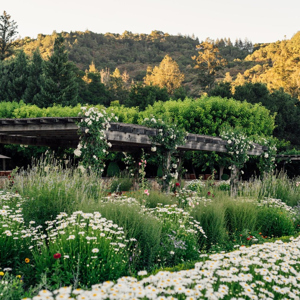 The Napa Valley Reserve 3
