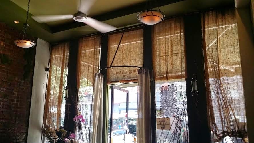 LuAnne's Wild Ginger 3