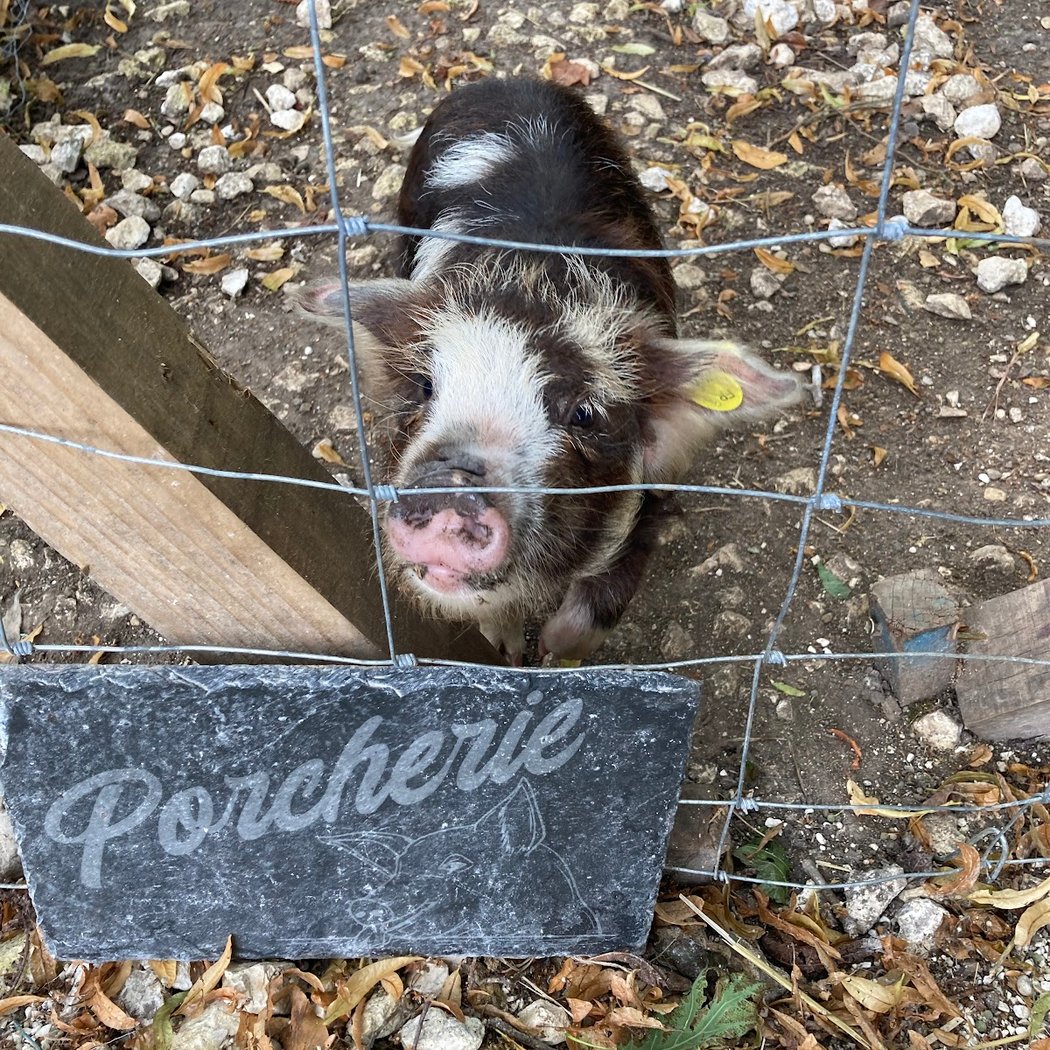 La ferme des 1001 pattes 2