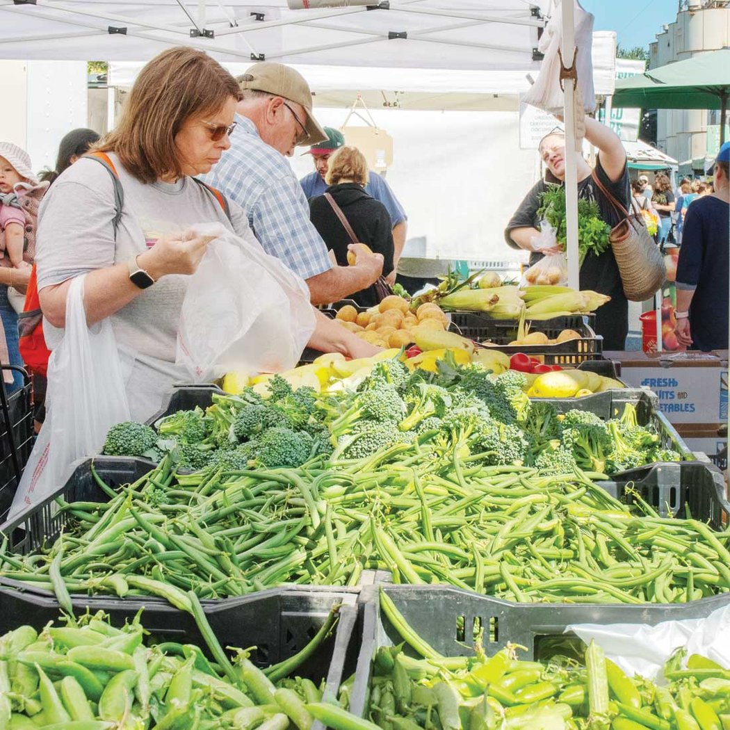 Morgan Hill Farmers' Market 1